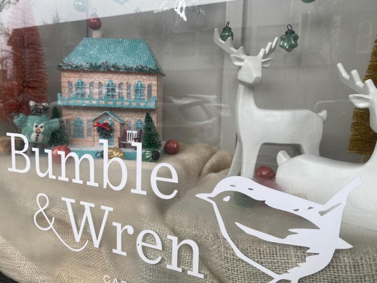 Bumble Wren 3 768x576